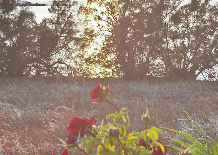 Ni&gio Sterna 6 Appartement